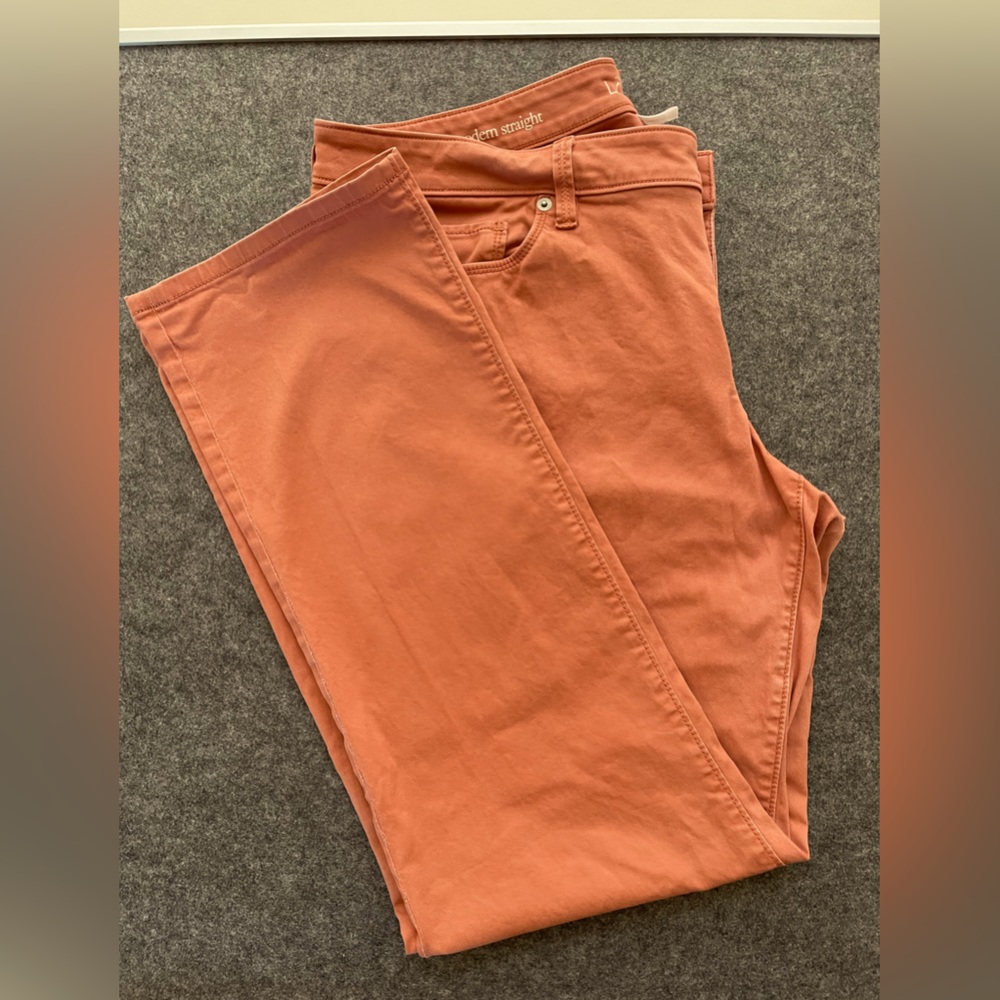 Anne Taylor Loft Sz. 14 Orange Pants Jeans